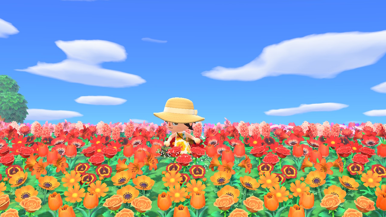 Regando un campo de flores en Animal Crossing New Horizons